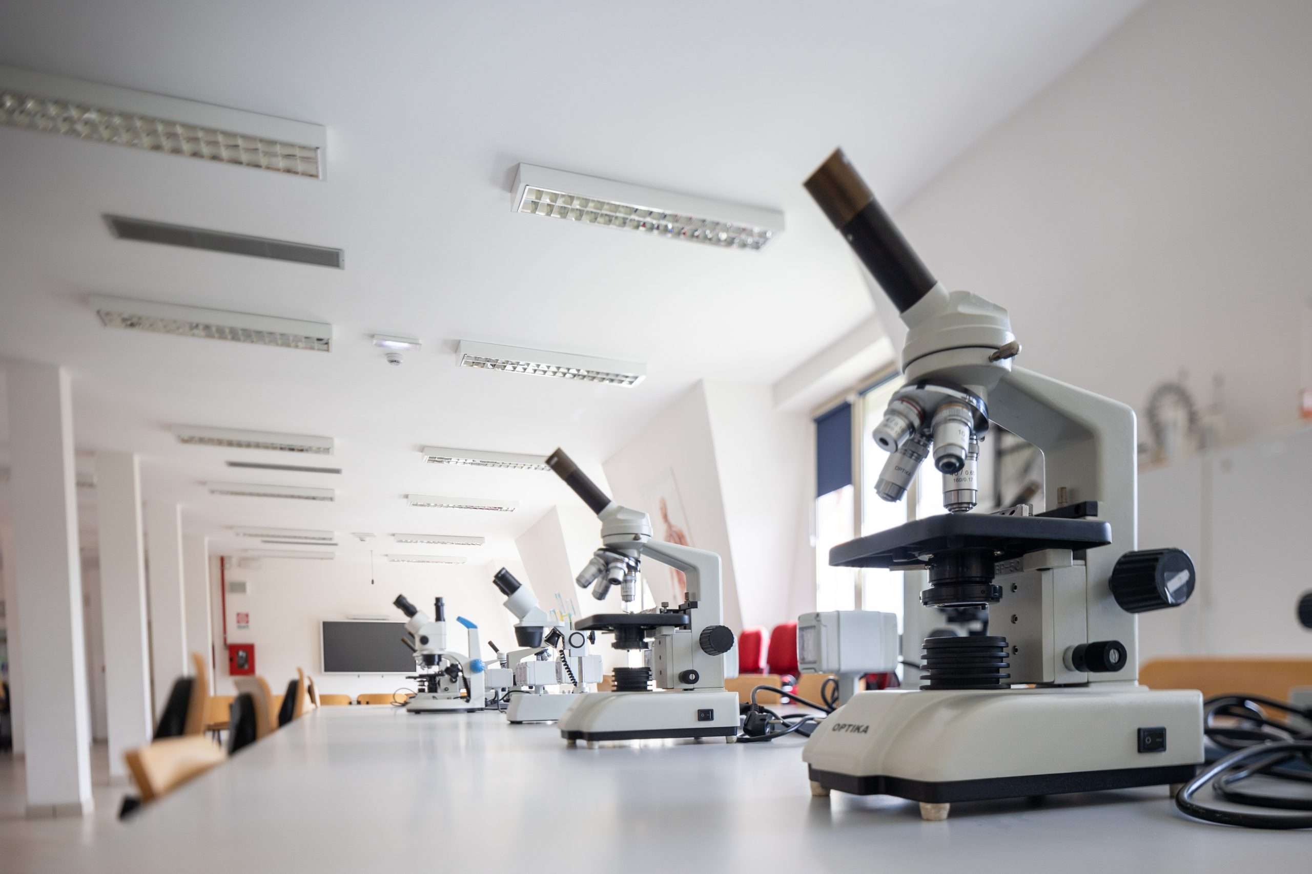 highlands institute laboratorio di scienze X4A0617 scaled highlands institute laboratorio di scienze X4A0617 scaled